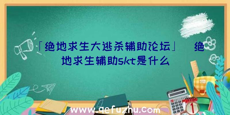 「绝地求生大逃杀辅助论坛」|绝地求生辅助skt是什么